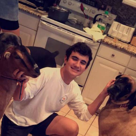 Meet your Posher, Luke - Picture 1 of 1